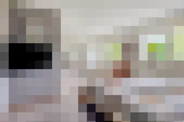 Saterslo 5 Losser thumbnail 26