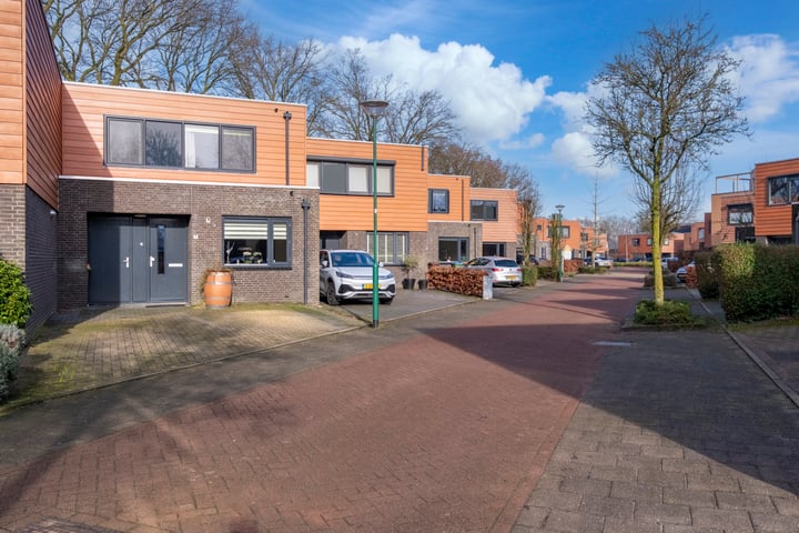 Satijnzwam 7 in Veenendaal foto