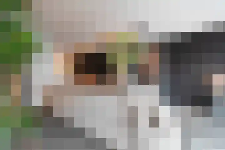 Saturnus 22 Den Helder thumbnail 13