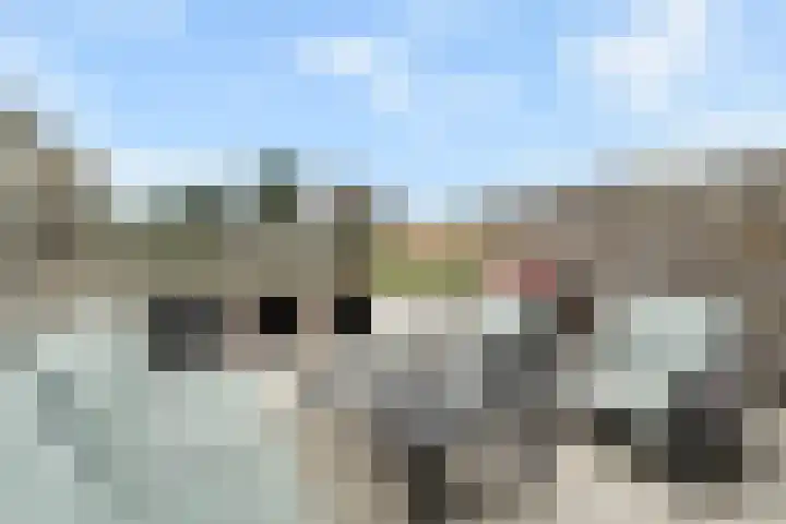 Saturnus 22 Den Helder thumbnail 33
