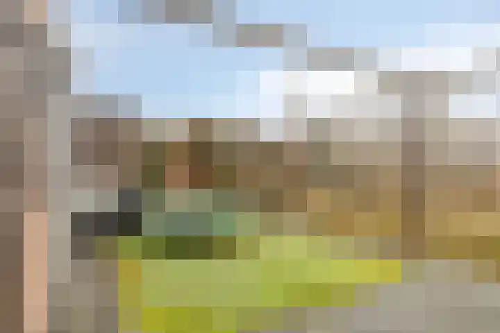 Saturnushof 29 Bemmel thumbnail 23