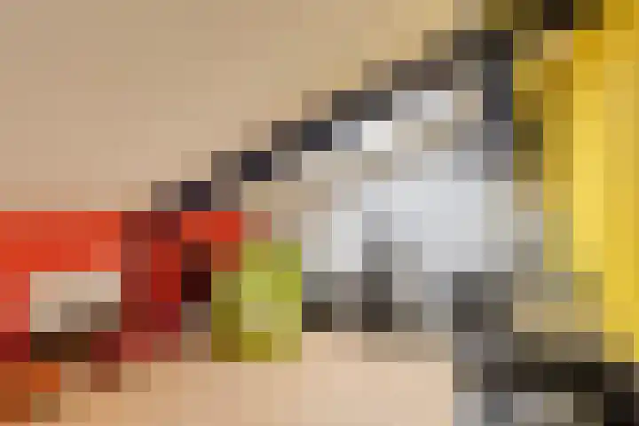 Saturnushof 29 Bemmel thumbnail 42