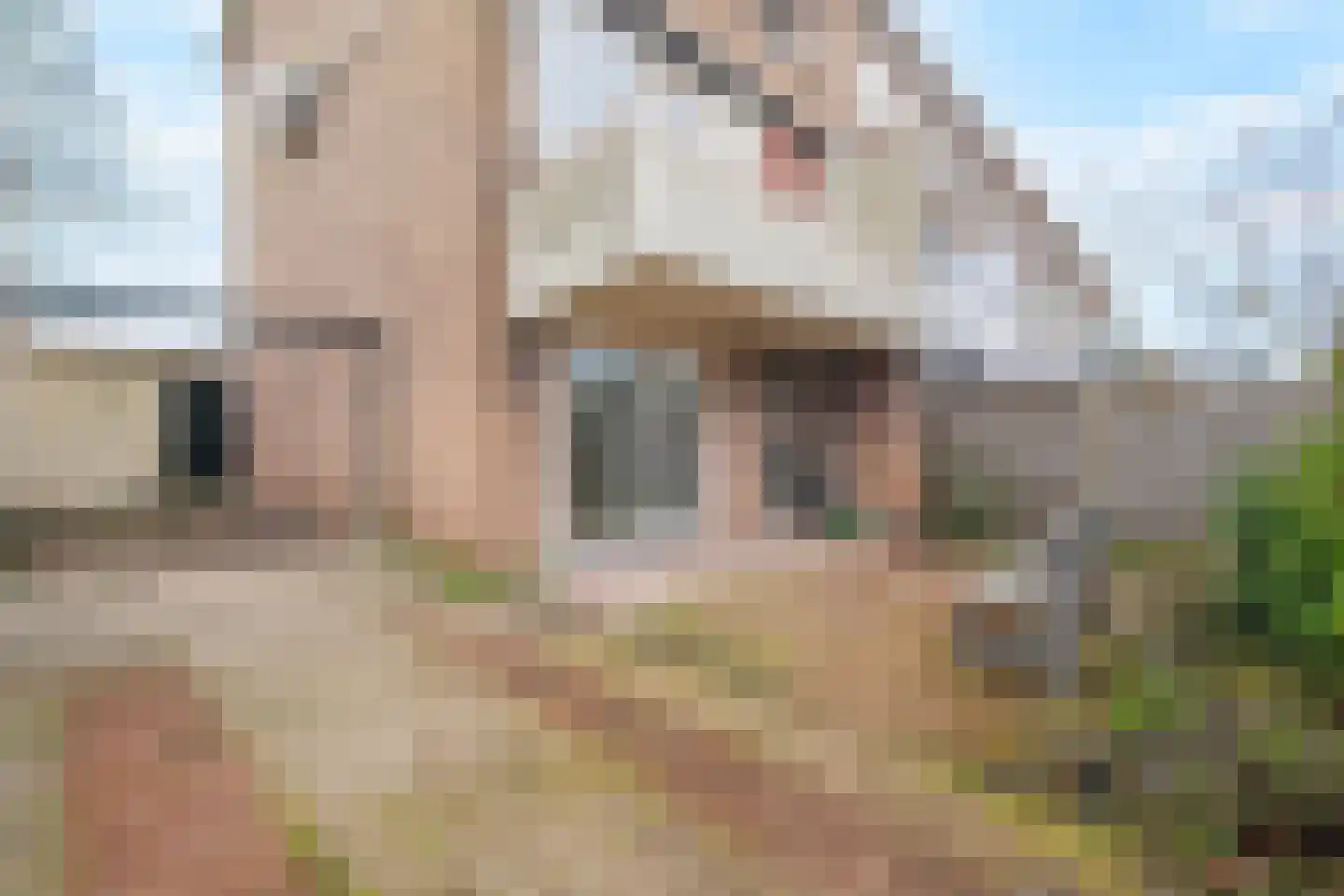 Saturnusstraat 107 Oudorp thumbnail 35