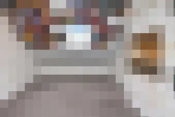 Saturnusstraat 20 Berghem thumbnail 39