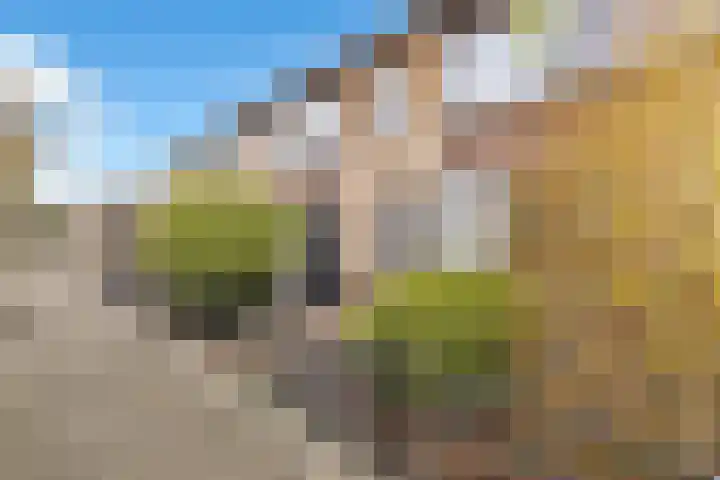 Saturnusstraat 20 Berghem thumbnail 8