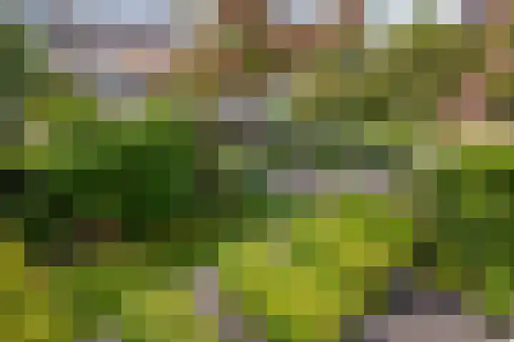 Saturnusstraat 25 Oudorp thumbnail 53