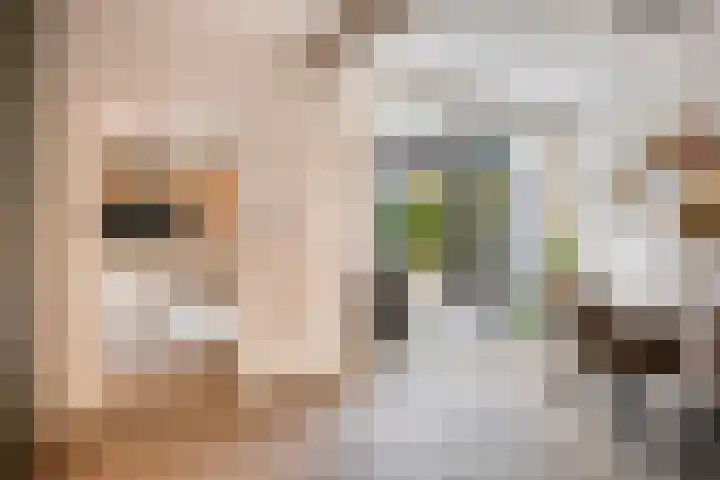Saturnusstraat 33 Asten thumbnail 13