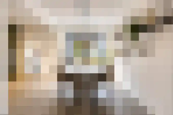 Saturnusstraat 33 Asten thumbnail 5