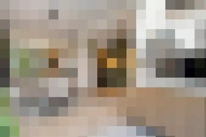Saturnusstraat 33 Asten thumbnail 8