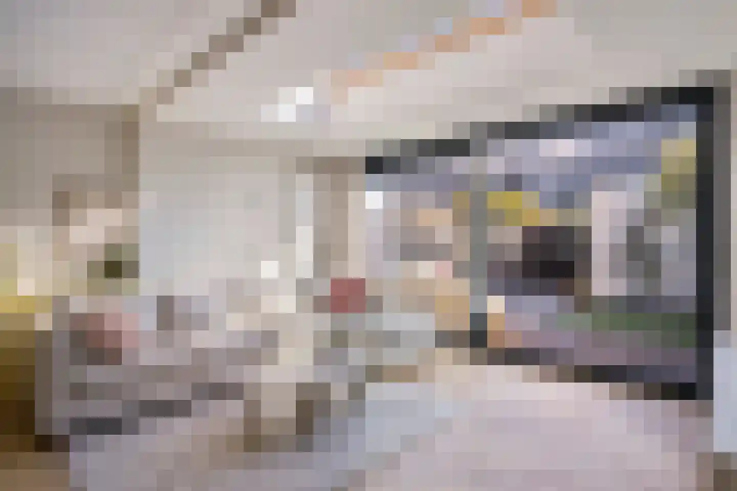 Savannestraat 8 Purmerend thumbnail 17