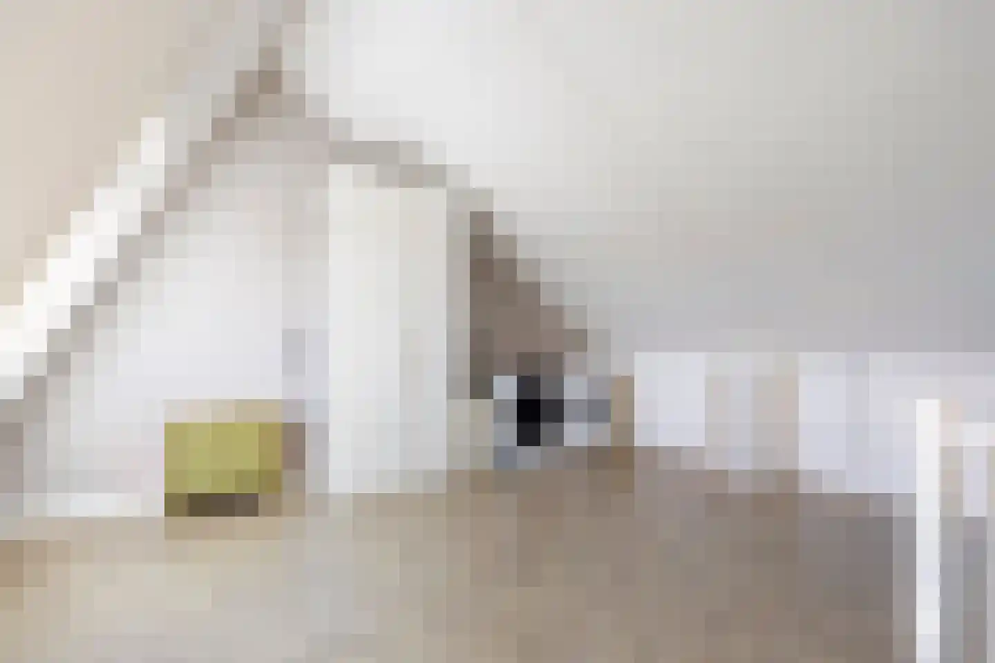 Savannestraat 8 Purmerend thumbnail 33