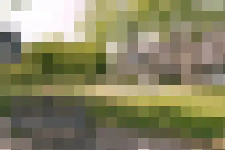 Savelsbos 23 Hoofddorp thumbnail 16