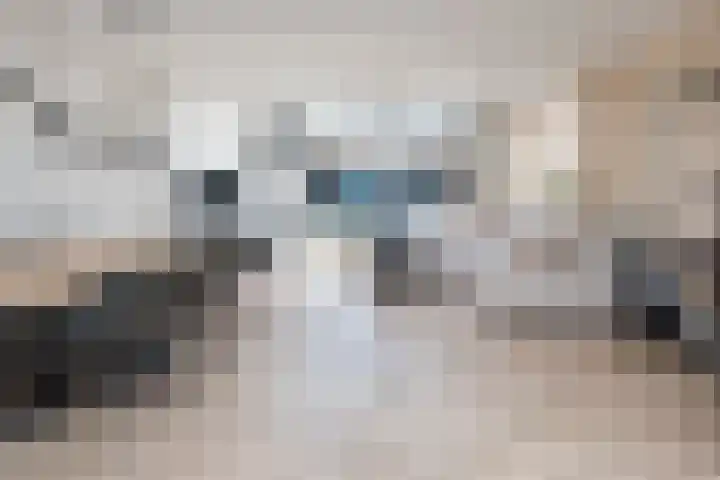 Savelsbos 23 Hoofddorp thumbnail 4