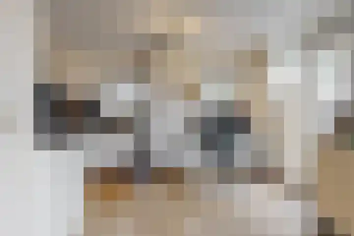 Sawahstraat 21 Purmerend thumbnail 11
