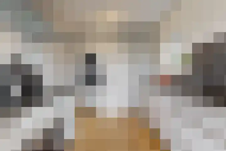 Sawahstraat 21 Purmerend thumbnail 12