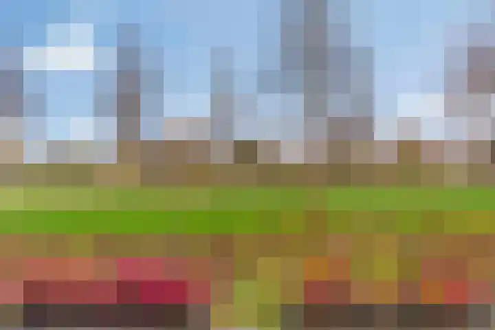 Sawahstraat 21 Purmerend thumbnail 37
