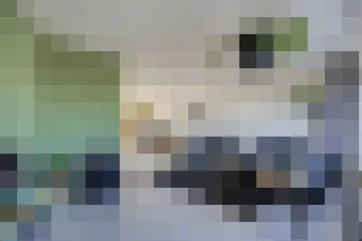Saxofoonweg 137 Almere thumbnail 14