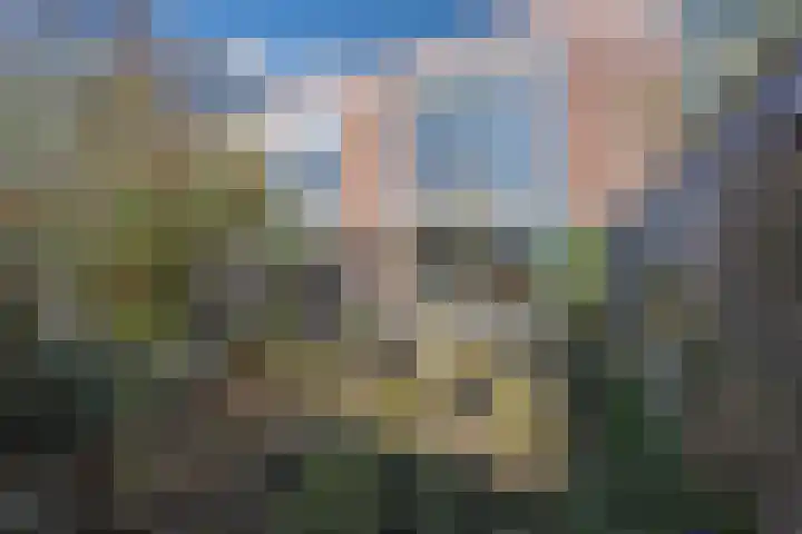 Saxofoonweg 137 Almere thumbnail 30