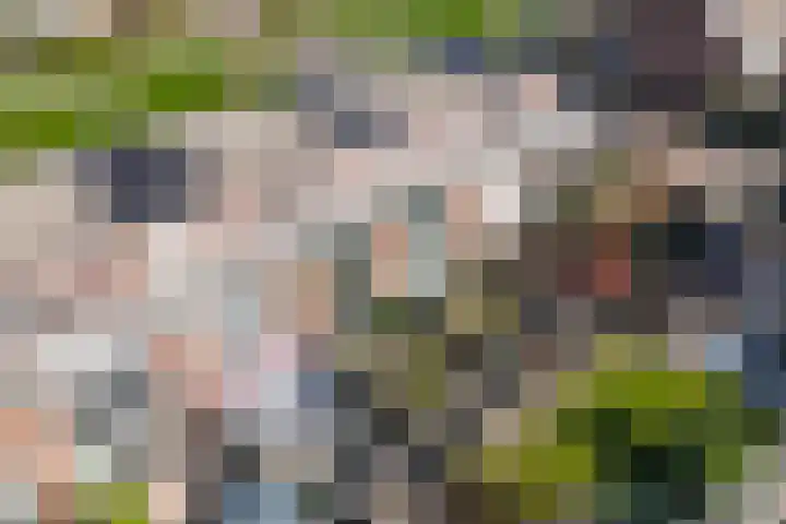 Saxofoonweg 137 Almere thumbnail 33