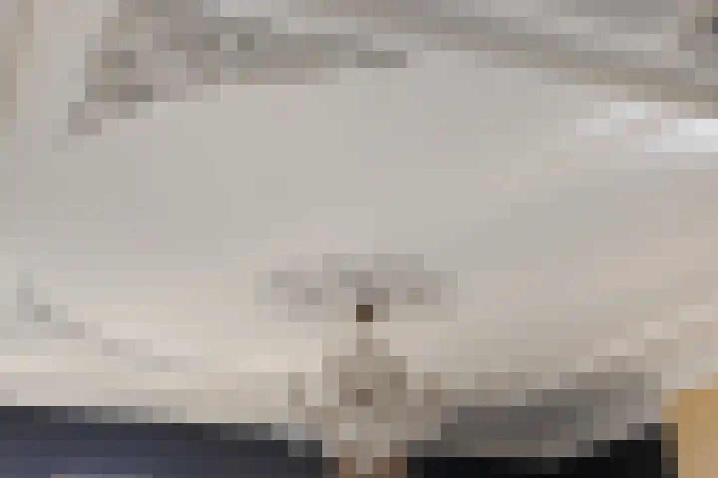 Schaafdries 60 Ravenstein thumbnail 13