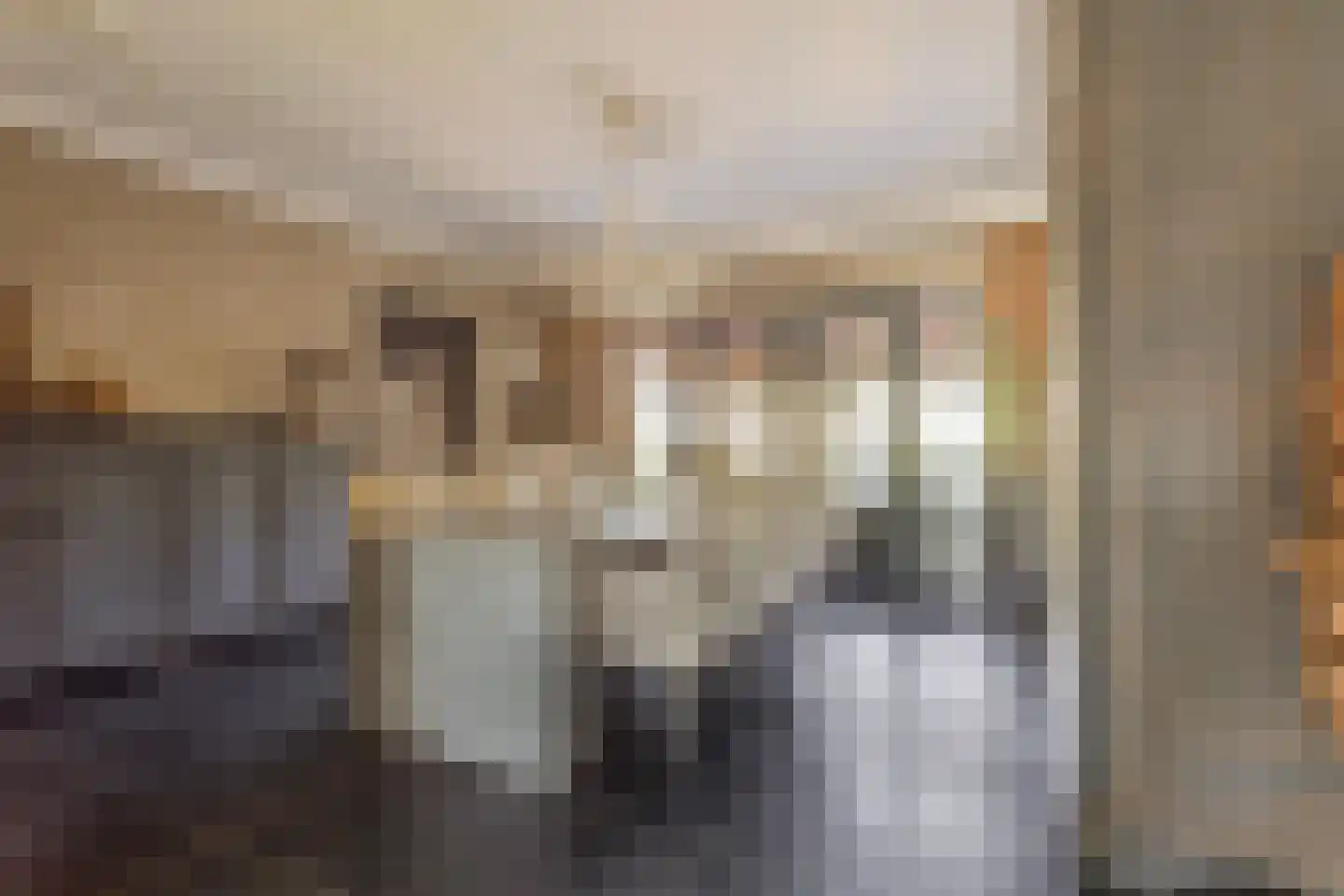 Schaafdries 60 Ravenstein thumbnail 16