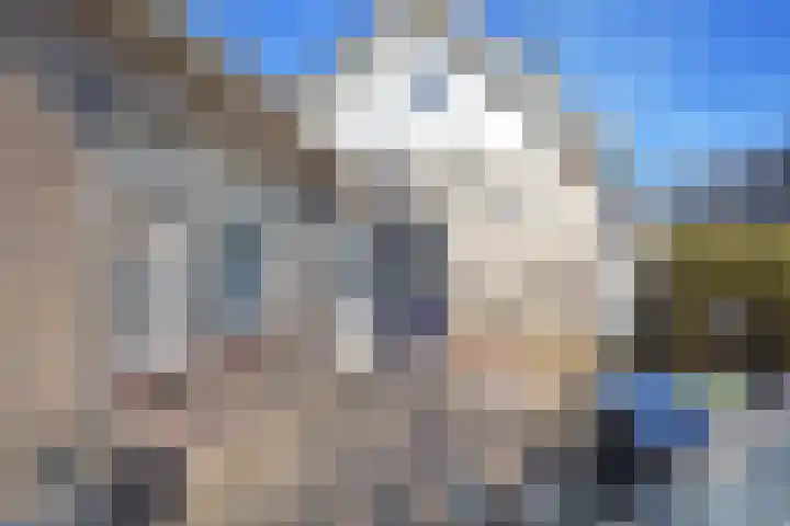 Schaafdries 60 Ravenstein thumbnail 25