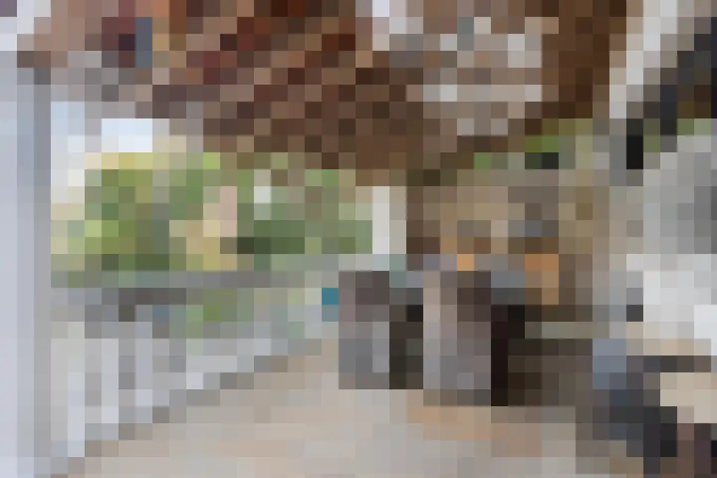Schaafdries 60 Ravenstein thumbnail 4