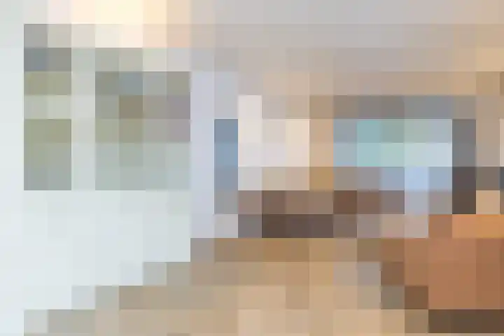 Schaafdries 60 Ravenstein thumbnail 40