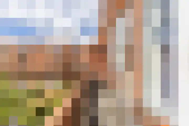 Schaafdries 60 Ravenstein thumbnail 42