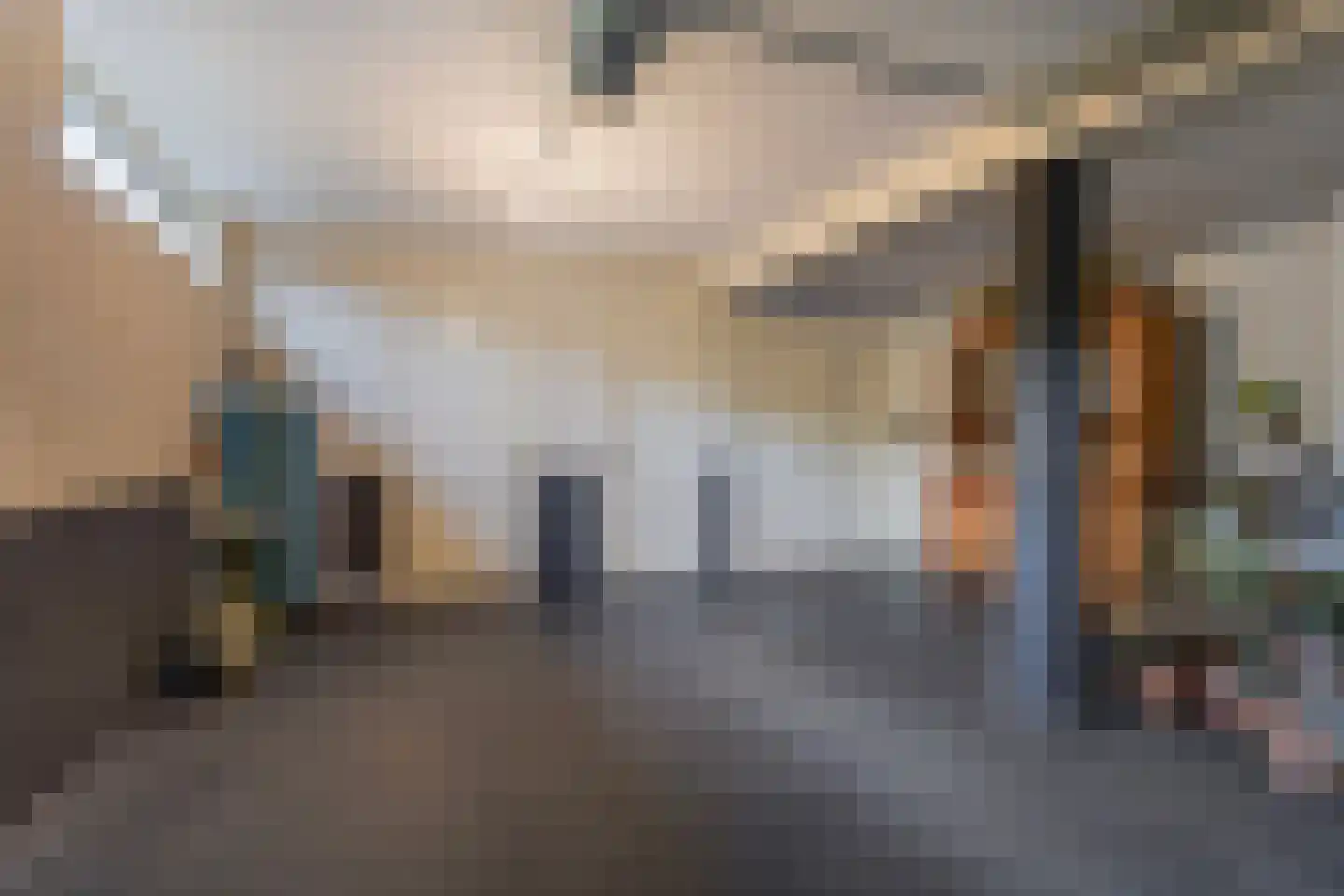 Schaafdries 60 Ravenstein thumbnail 47