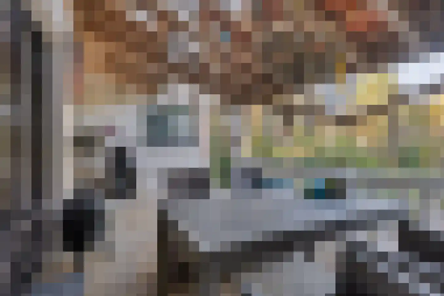 Schaafdries 60 Ravenstein thumbnail 51