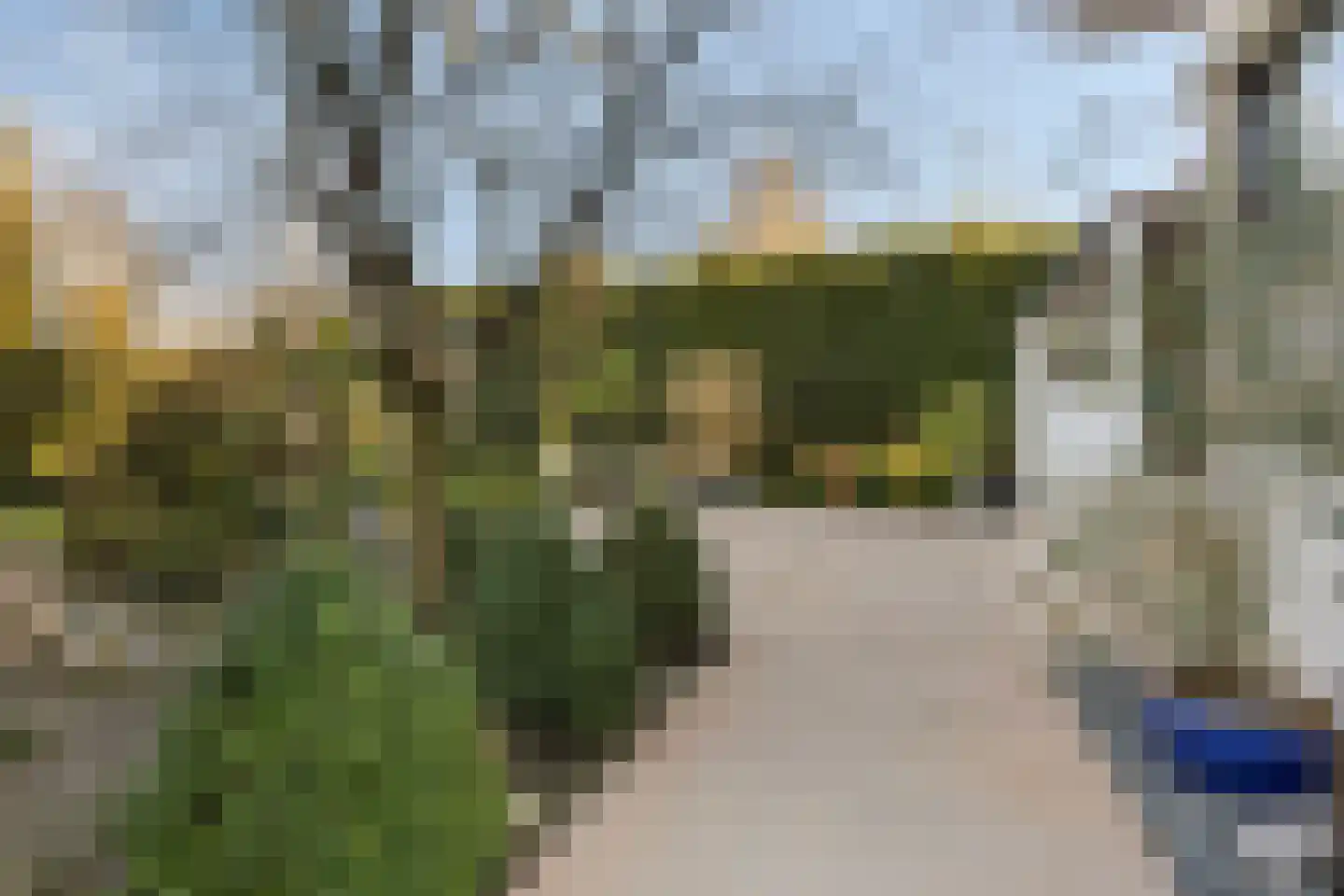 Schaafdries 60 Ravenstein thumbnail 55