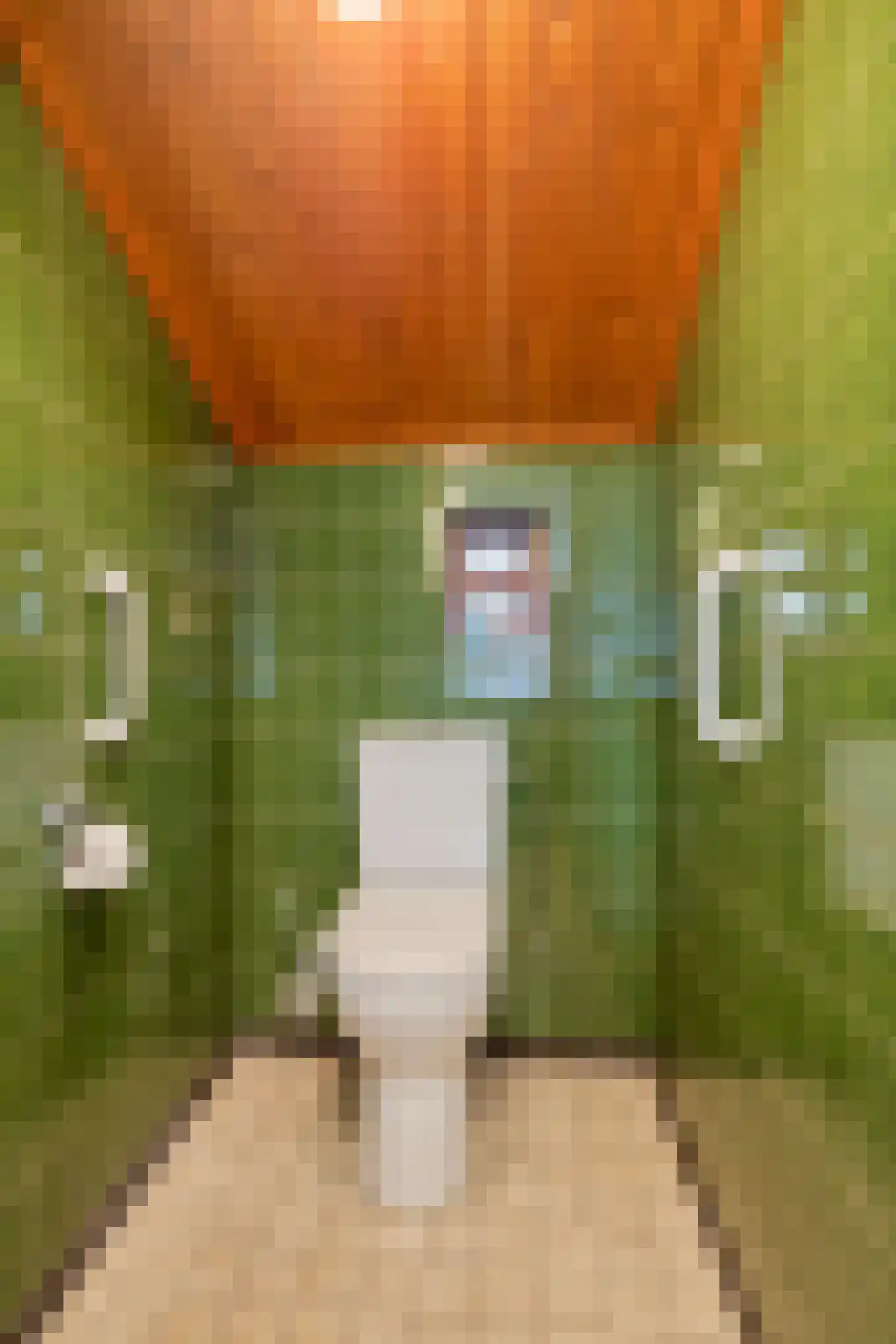 Schaafdries 60 Ravenstein thumbnail 57