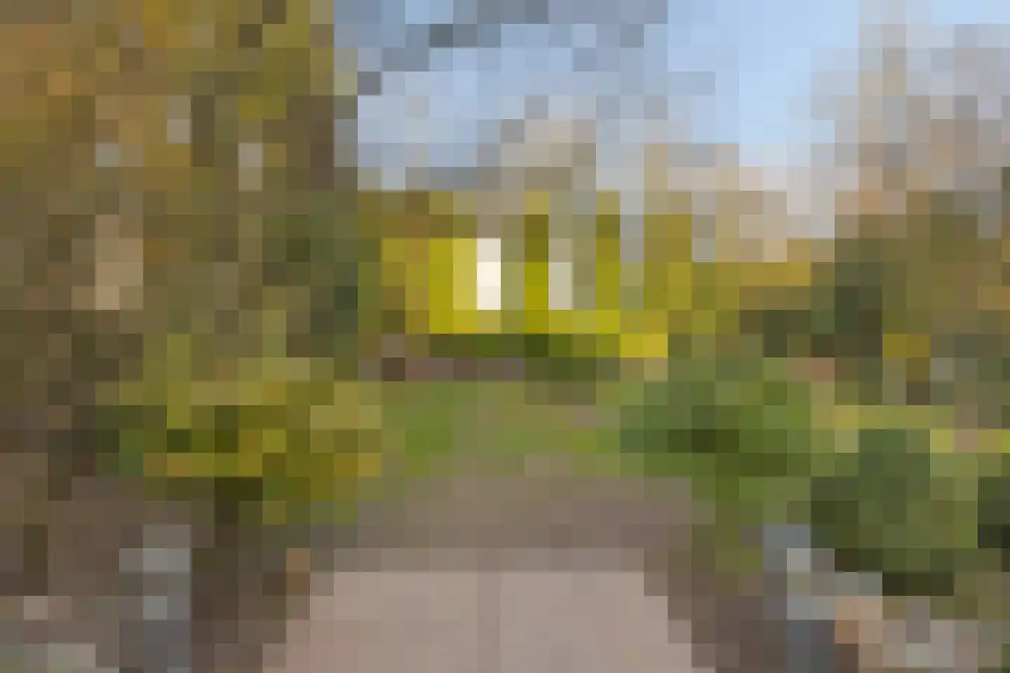 Schaafdries 60 Ravenstein thumbnail 57