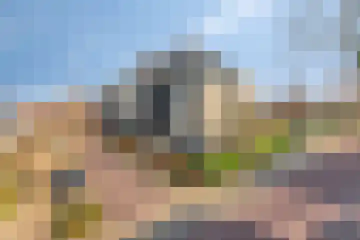Schaafdries 60 Ravenstein thumbnail 62