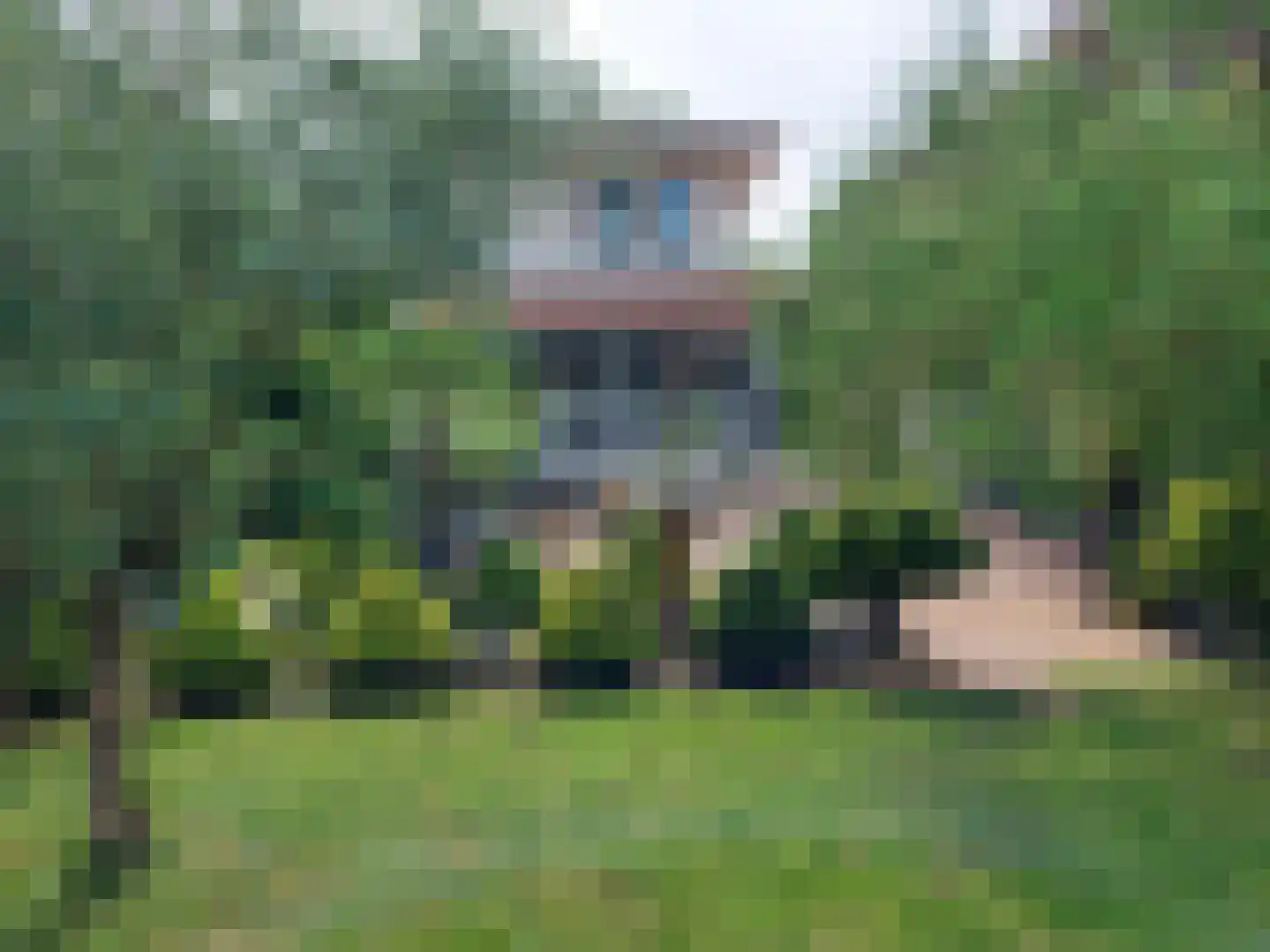 Schaafdries 60 Ravenstein thumbnail 62