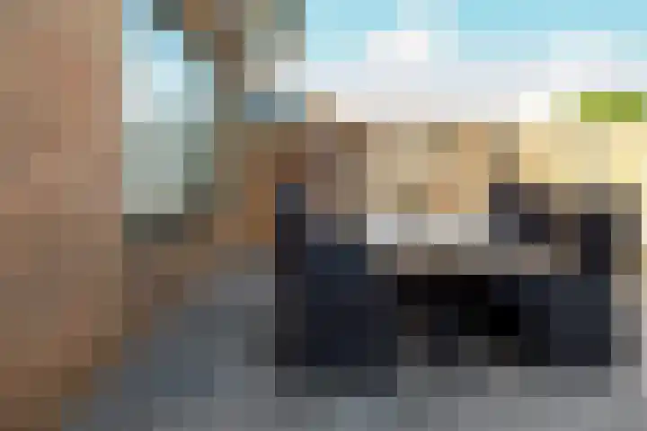 Schaafdries 60 Ravenstein thumbnail 70