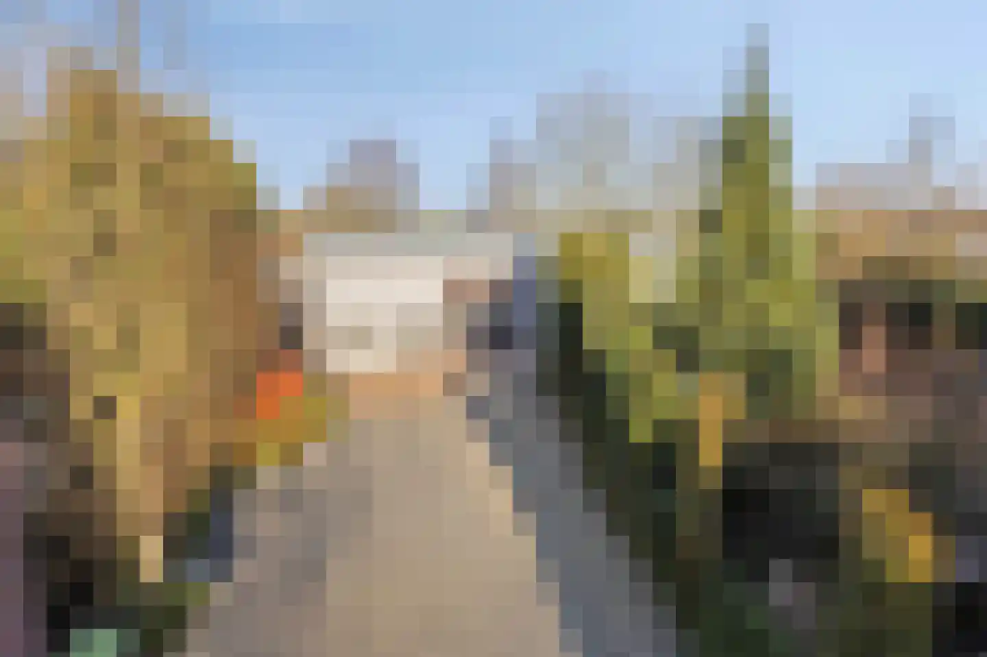 Schaafdries 60 Ravenstein thumbnail 77