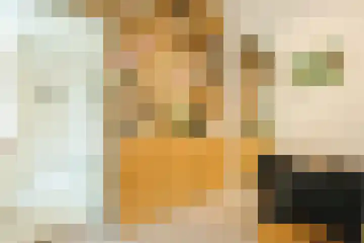 Schaafdries 60 Ravenstein thumbnail 84