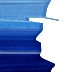 Logo Schaafsma makelaars