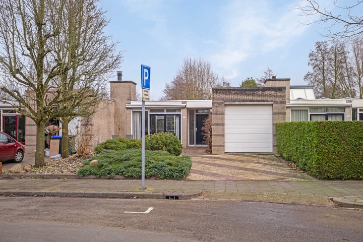 Schaaksport 117 in Groningen foto