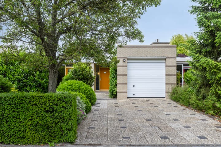 Schaaksport 121 in Groningen foto