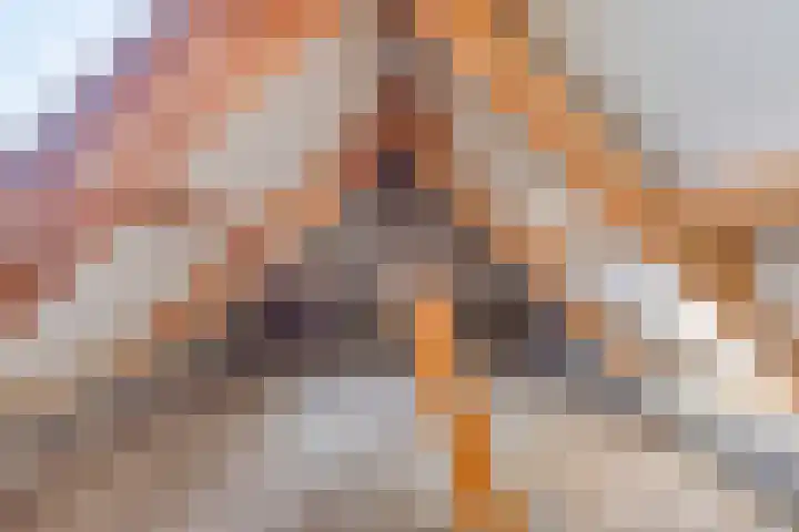 Schaapdijkstraat 3 Zuiddorpe thumbnail 11