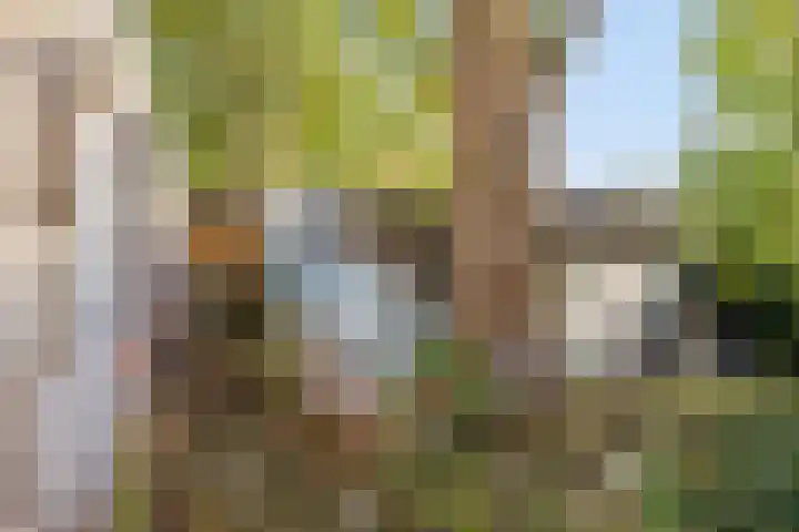 Schaapdijkstraat 3 Zuiddorpe thumbnail 13
