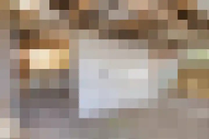 Schaapdijkstraat 3 Zuiddorpe thumbnail 16