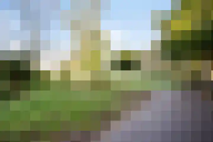 Schaapdijkstraat 3 Zuiddorpe thumbnail 21
