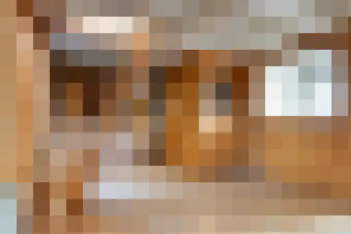 Schaapdijkstraat 3 Zuiddorpe thumbnail 4