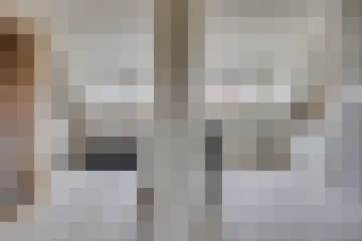Schaapherder 7 Leusden thumbnail 12