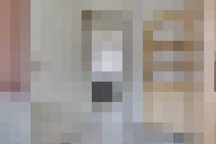 Schaapherder 7 Leusden thumbnail 14