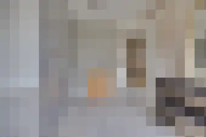 Schaapherder 7 Leusden thumbnail 16